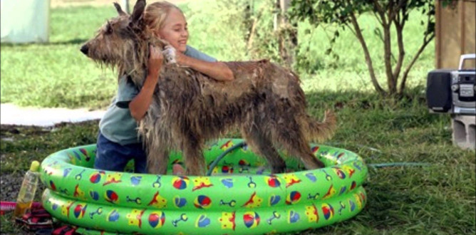 Because Of Winn Dixie parents guide