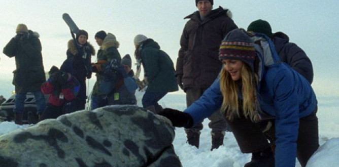 Big Miracle parents guide