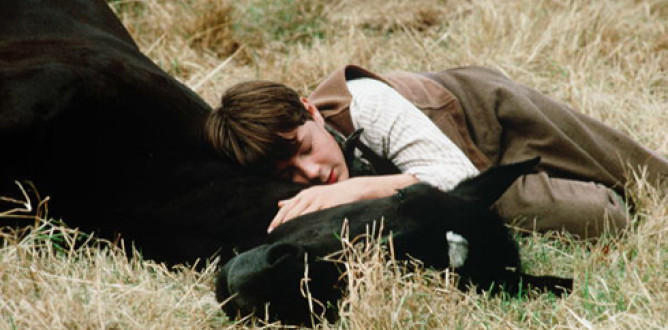 Black Beauty parents guide