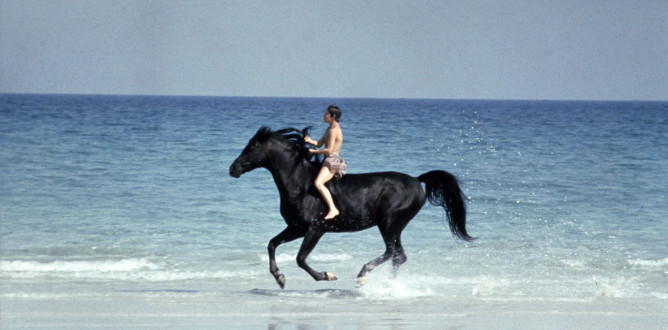 The Black Stallion parents guide