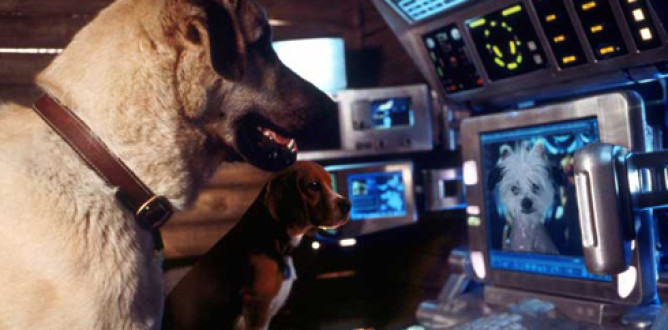 Cats and Dogs parents guide