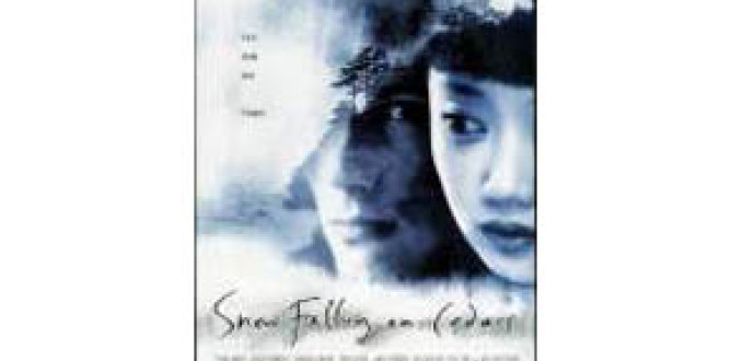 Snow Falling On Cedars parents guide