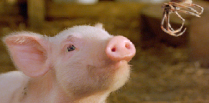 Charlotte’s Web parents guide