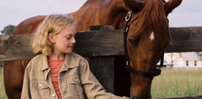 Dreamer: Inspired by a True Story parents guide