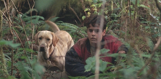 Far From Home: The Adventures Of Yellow Dog parents guide