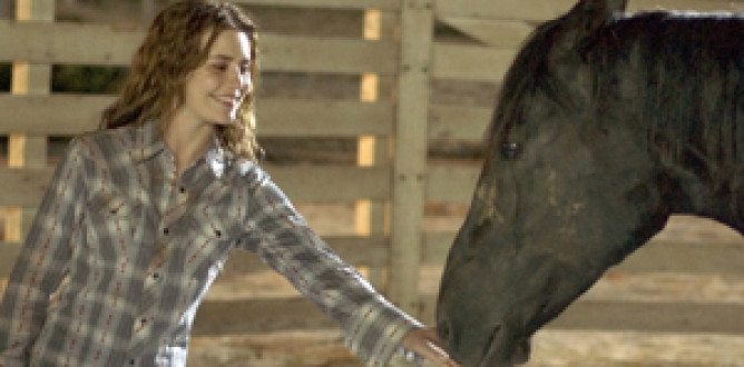 Flicka parents guide