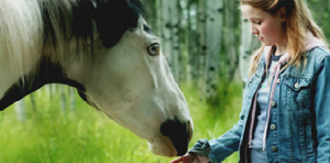 Moondance Alexander parents guide