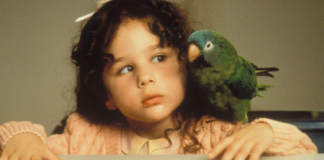 Paulie parents guide