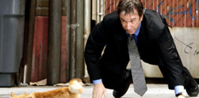 The Shaggy Dog parents guide