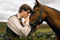 War Horse