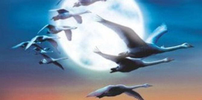 Winged Migration parents guide