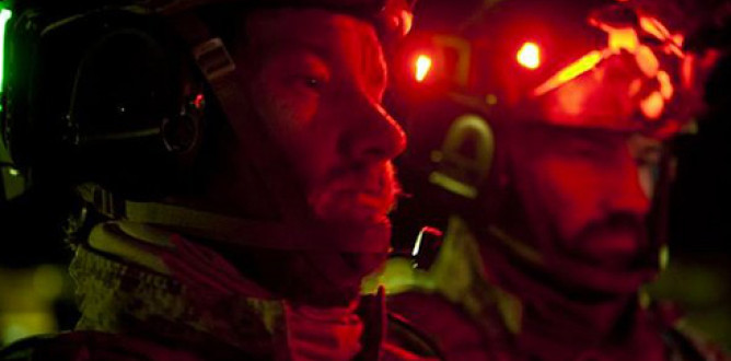 Zero Dark Thirty parents guide