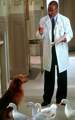 Dr. Dolittle 2 - Official site